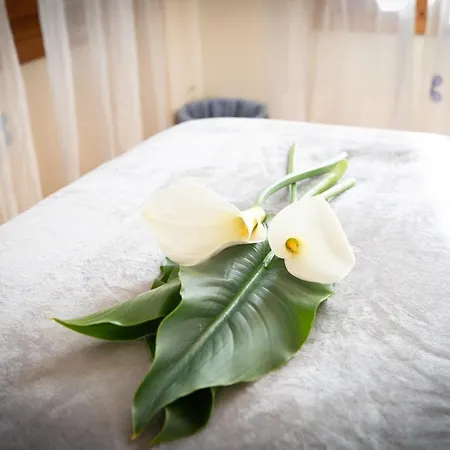 Apartamento Con Piscina * Gijón